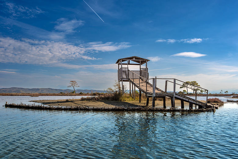 Viewing platform in the Divjake Karavasta National Park