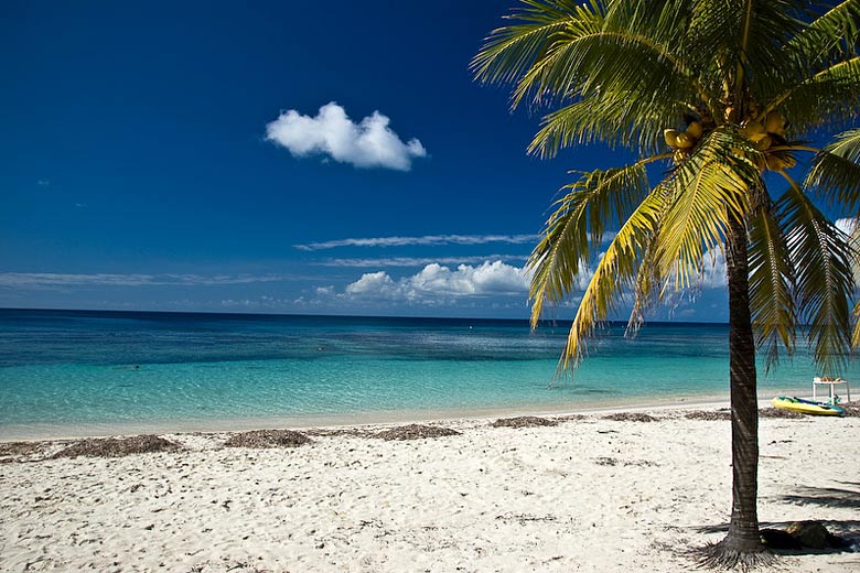 Palm-fringed beach on Roatán © M+M Photographers - Flickr Creative Commons