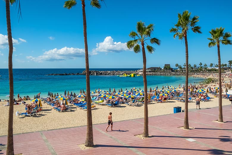 Palm-lined Playa de Amadores, Gran Canaria Palm-lined Playa de Amadores, Gran Canaria