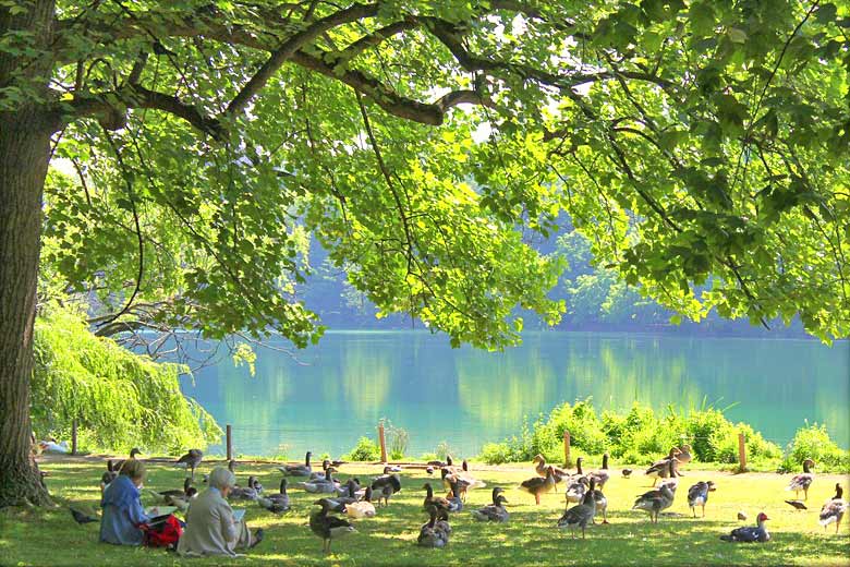 Enjoying the peace in Parc de la Tête d'Or © Ondine B - Flickr Creative Commons