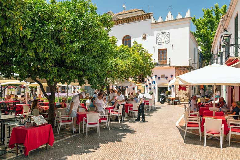 Unwind under the orange trees of Plaza de los Naranjos