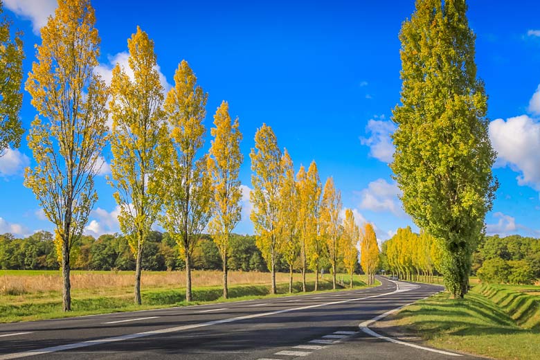 On the road in the Loire Valley