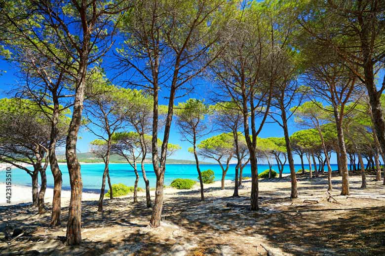 Seriously tempting reasons to visit Sardinia © Jenny Sturm - Adobe Stock Image