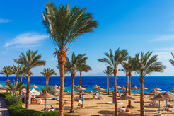 10 of the best resorts on Egypt's Red Sea for all interests