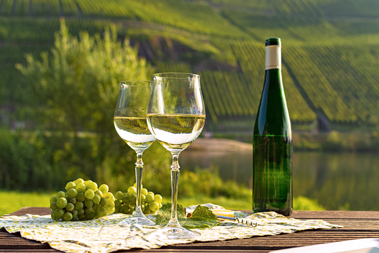 The Rhine Valley is a major wine-producing area © Barmalini - Adobe Stock Image