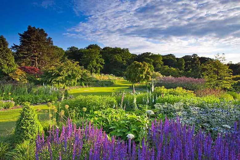 RHS Garden Harlow Carr © Royal Horticultural Society (RHS)