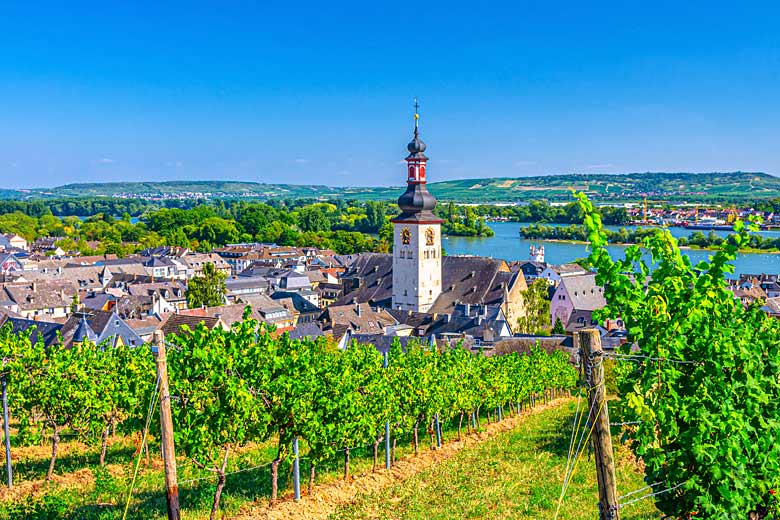 Vineyards on the outskirts of Rüdesheim © Aliaksandr - Adobe Stock Image