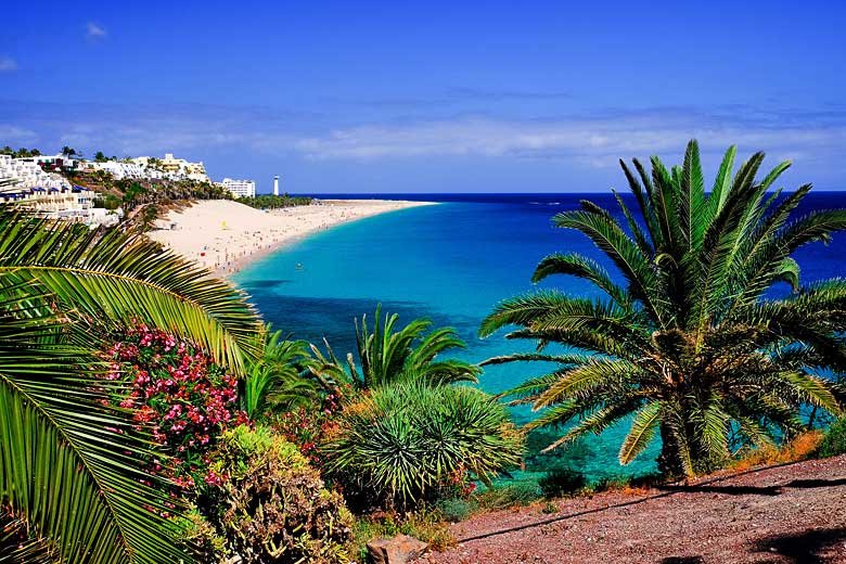 Sandy beach on the south coast of Fuerteventura © Elena Krivorotova - Adobe Stock Image