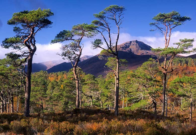 A first-timer's guide to the Scottish Highlands © Spodzone - Flickr Creative Commons