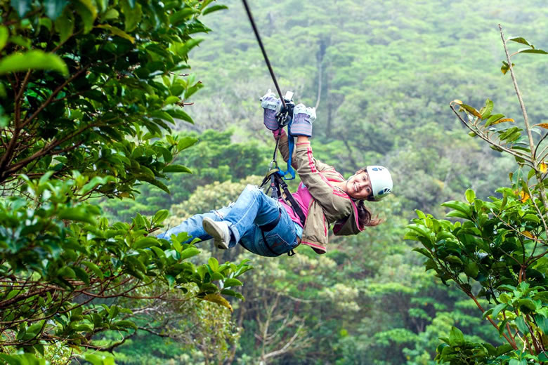 Whizzing through the trees