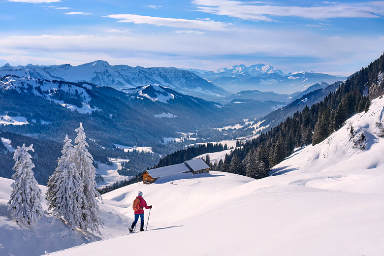 Snowshoeing to places where skiers don't go Snowshoeing to places where skiers don't go