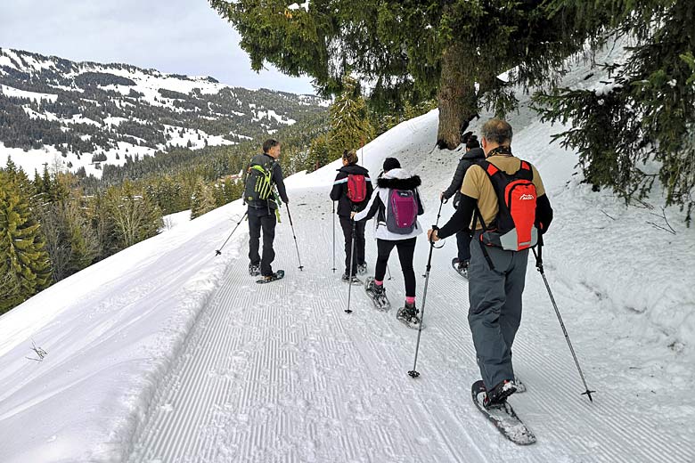 Snowshoeing in the mountains around Villars © Kirsten Henton - Weather2Travel.com