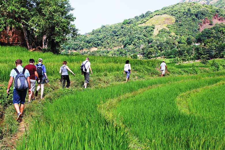Hiking in Sri Lanka