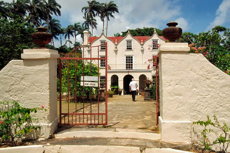The plantation house turned distillery of St Nicholas Abbey