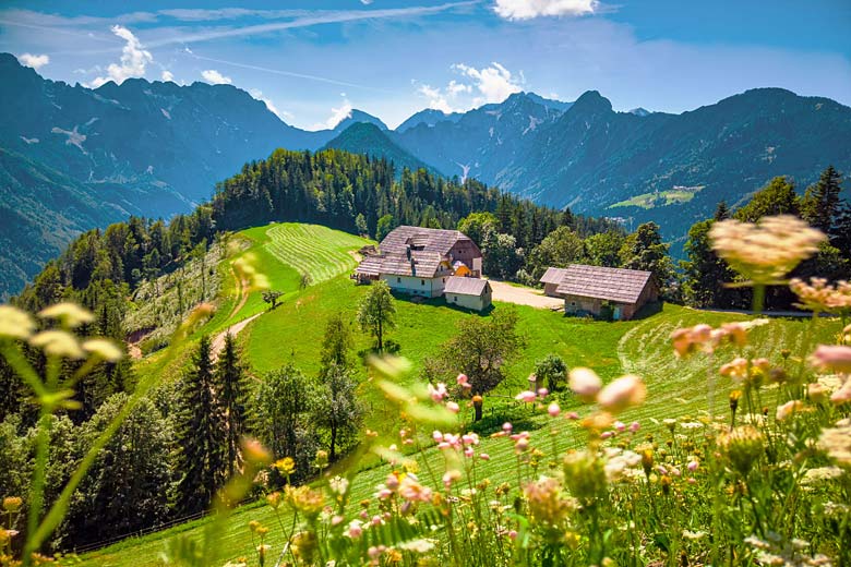 Summer holidays in the Slovenian Alps © Asafaric - Adobe Stock Image