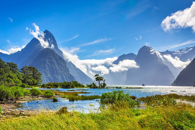 Summer in Milford Sound on New Zealand's South Island