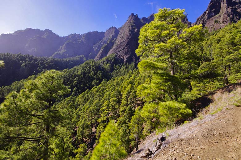 Inside Taburiente National Park, La Palma © Nulinukas - Dreamstime.com