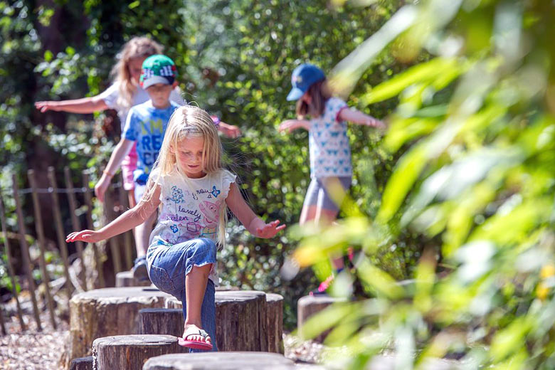 The 'Copse' play area at RHS Rosemoor - photo courtesy of Royal Horticultural Society