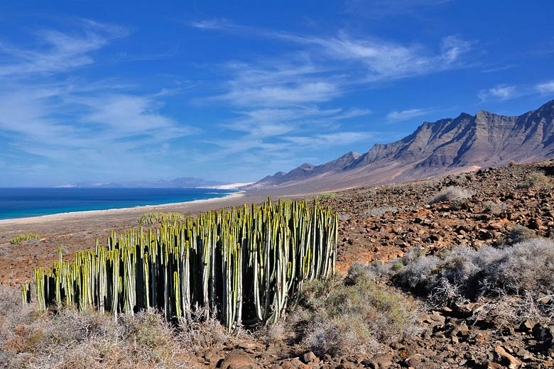Exploring Fuerteventura in the Canary Islands © Hansueli Krapf - Wikimedia Creative Commons