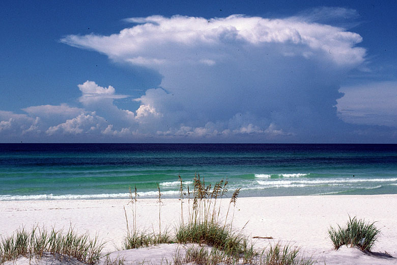 Afternoon thunderstorm Florida