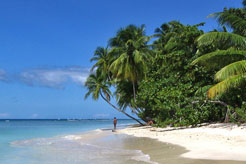 Guide to Tobago: Top sights of this Caribbean island