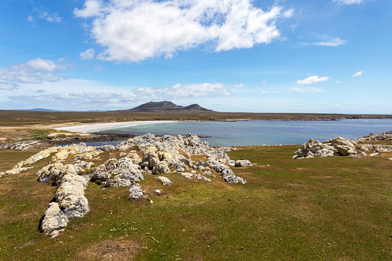 Take in the landscape of the Falkland Islands