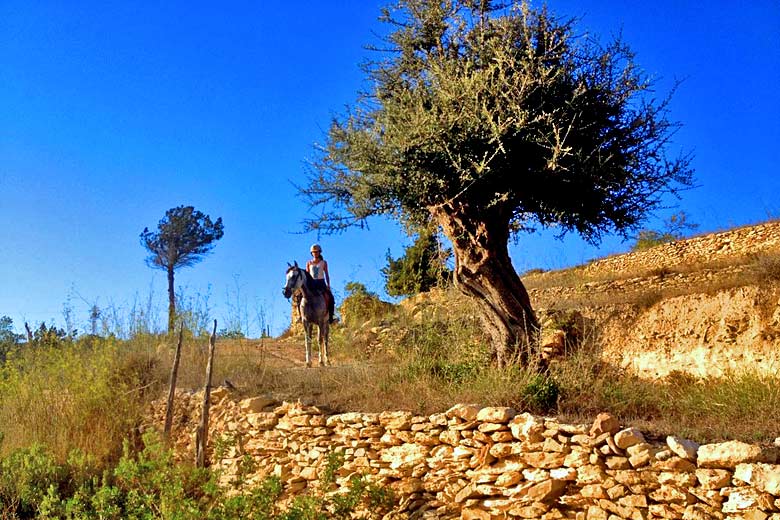 Trek on horseback with Ibiza Horse Valley