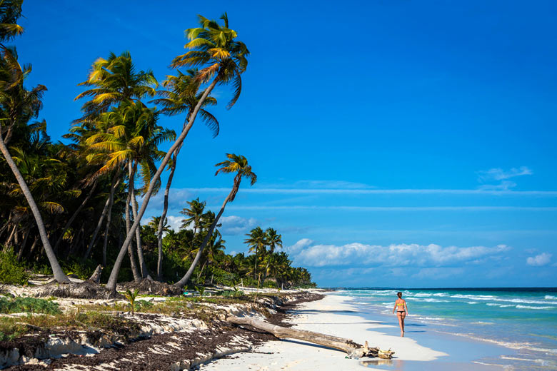 Beach near Tulum on Mexico's Caribbean Coast Beach near Tulum on Mexico's Caribbean Coast