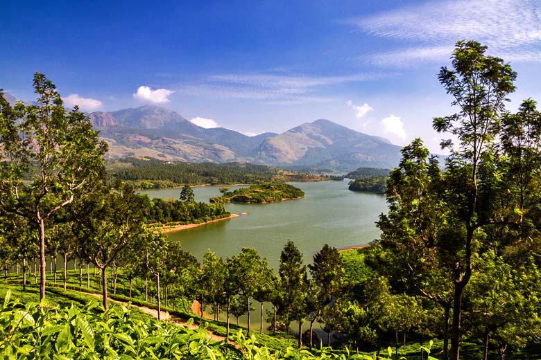 Typical scenery in the Tea Country of eastern Kerala © Rudi Ernst - Fotolia.com