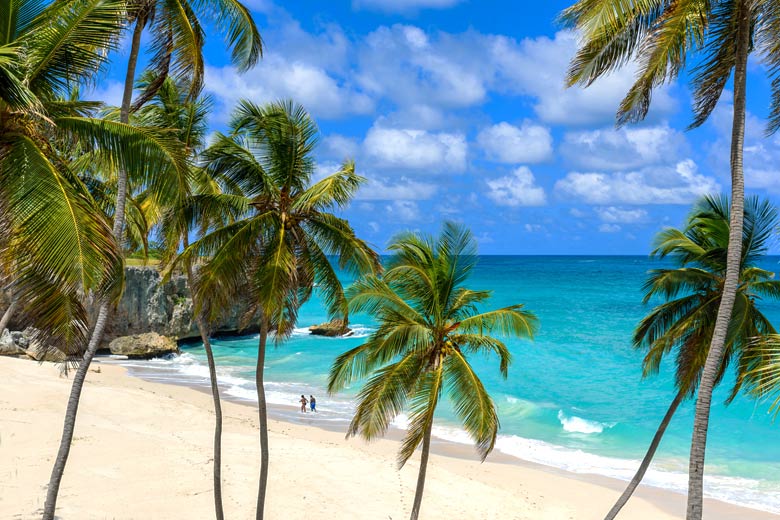 Unmissable things to do in Barbados © Simon Dannhauer - Fotolia.com