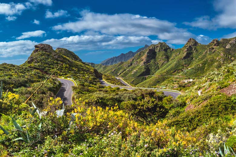 The wetter, greener north of Tenerife