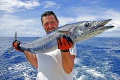 Cape Verde fishing: Independent, organised & big game trips