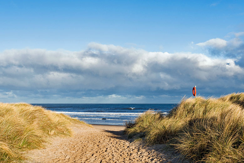 The sweeping dunes of Waxham Beach, Norfolk The sweeping dunes of Waxham Beach, Norfolk