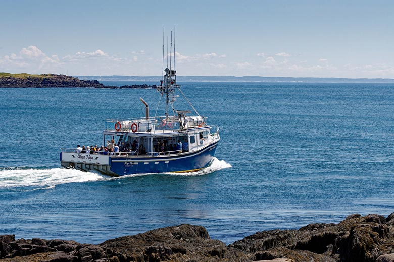 Go whale-watching in the Bay of Fundy Go whale-watching in the Bay of Fundy