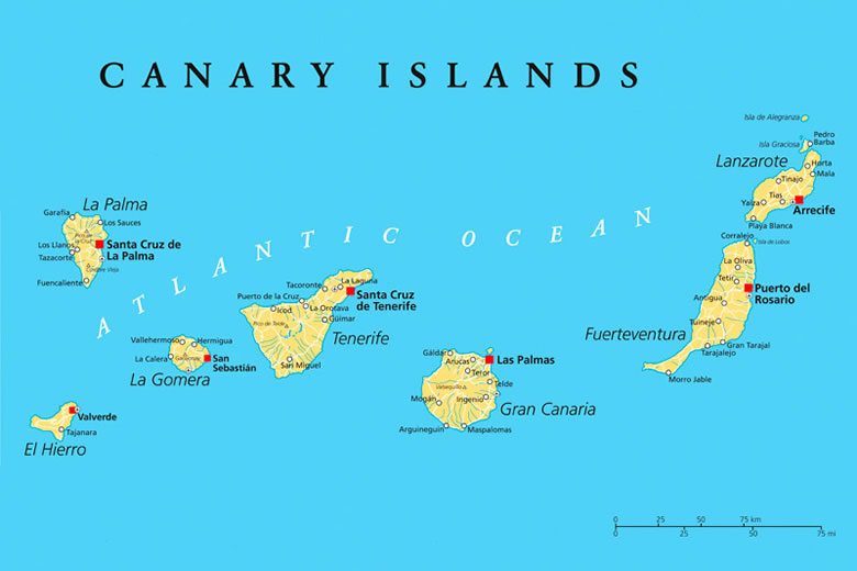 There are eight Canary islands to choose from © Peter Hermes Furian - Fotolia.com