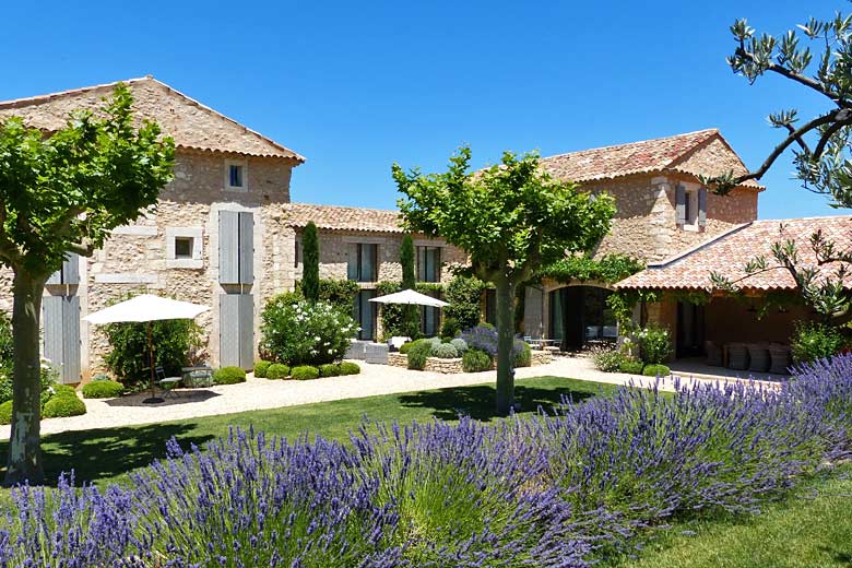 Walk among the lavender in Luberon, France