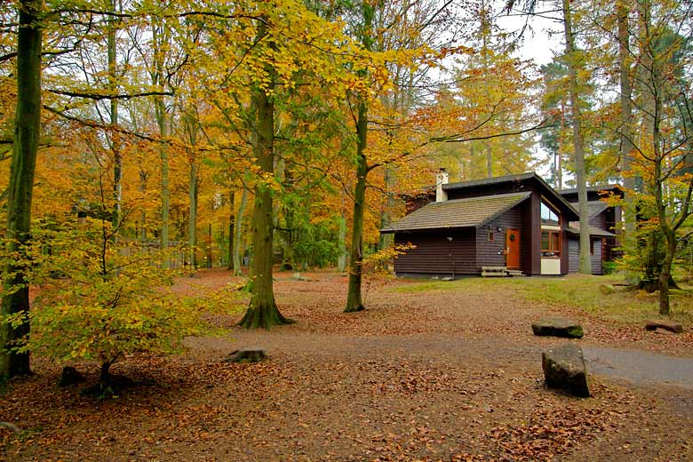 Woodland Lodge, Center Parcs Whinfell Forest Woodland Lodge, Center Parcs Whinfell Forest