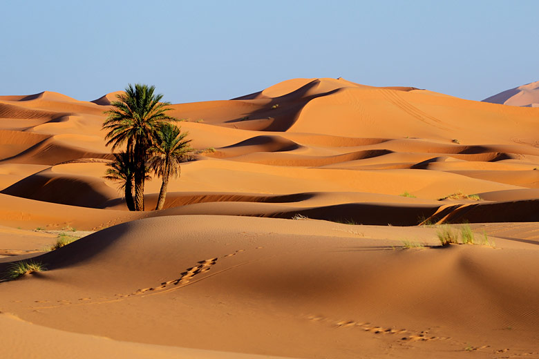 The Erg Chebbi region of Morocco © Alexmar - Fotolia.com