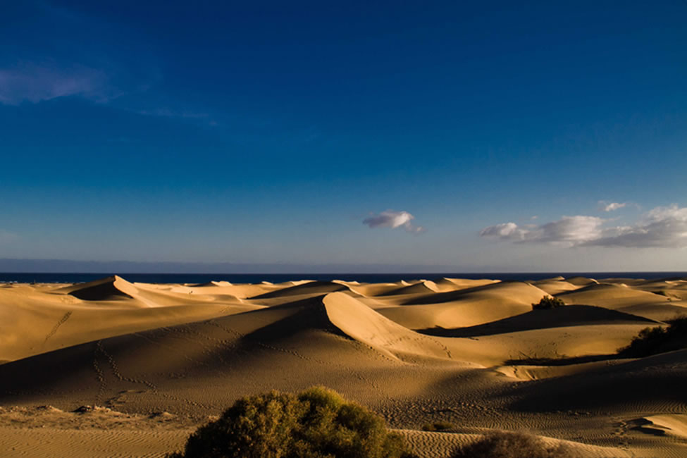 Gran Canaria weather - the Maspalomas Dunes © Félix Bernet - Flickr Creative Commons