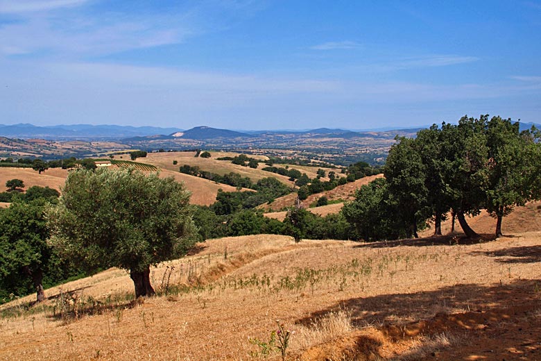 Even the green hills of Tuscany turn brown in summer © Uwe Albert Thiele - Fotolia.com