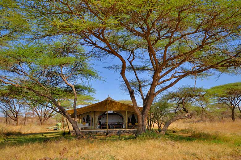 Honeymoon on safari in Kenya © Juergen Ritterbach - Alamy Stock Photo