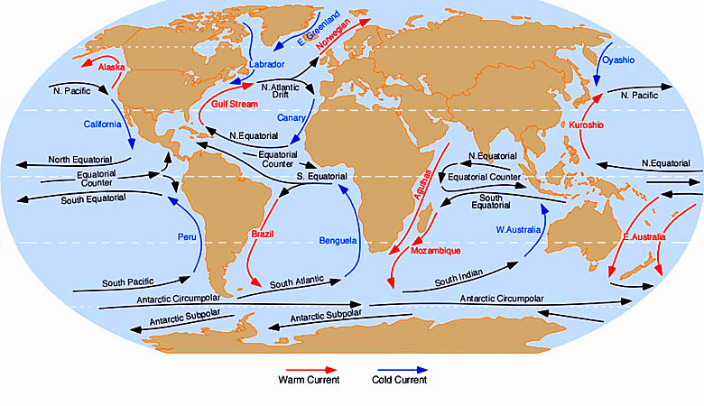 Guide to the world's ocean currents - courtesy of Dr. Michael Pidwirny