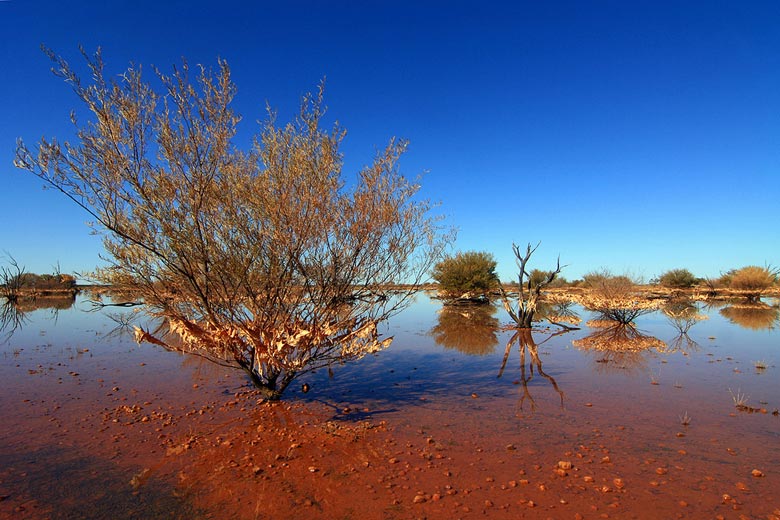 South Australia flooded desert © Eddy - Flickr Creative Commons