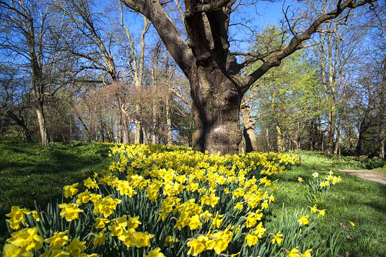 UK spring season weather guide Where to go in 2023/2024