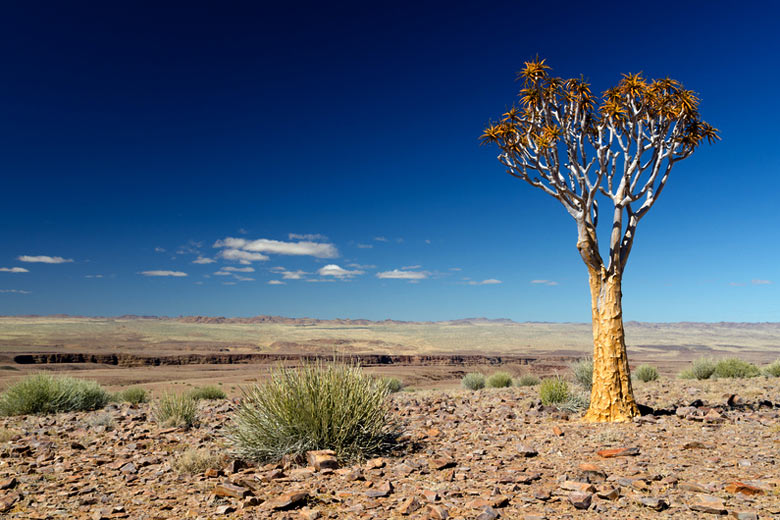 Subtropical deserts have the most hours of sunshine © Itanart - Dreamstime.com
