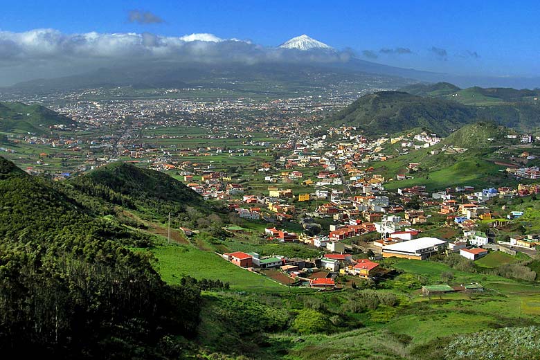 After winter rains, March is the greenest month of the year in Tenerife