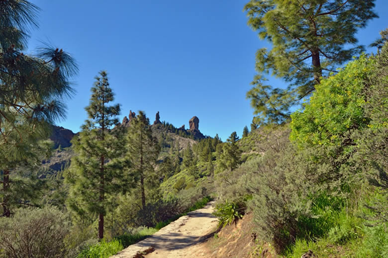 Winter is a great time for walking in Gran Canaria © Vilseskogen - Flickr Creative Commons
